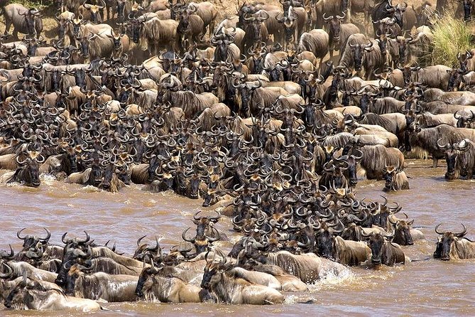 Tarangire -Serengeti & Ngorongoro Crater Budget camping safari - Why this four-day route works