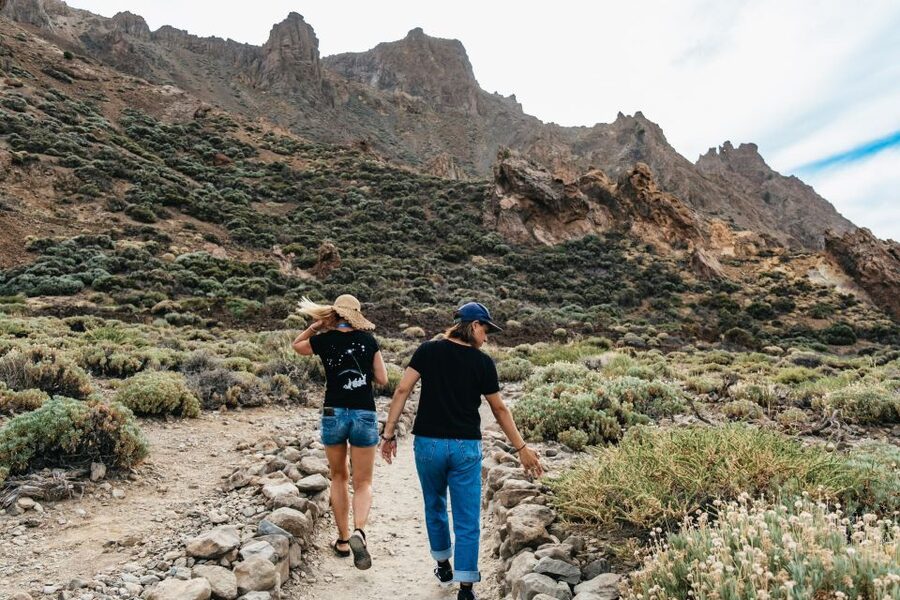 Teide: Guided Sunset & Stargazing Tour by Night with Dinner - Who will get the most from the $105 price