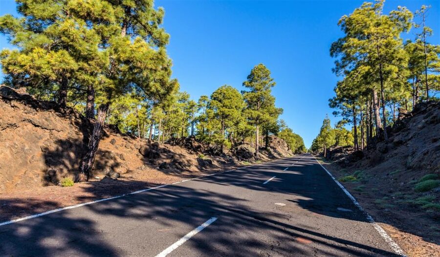 Teide: Guided Sunset & Stargazing Tour by Night with Dinner - The guides and drivers shape the whole experience