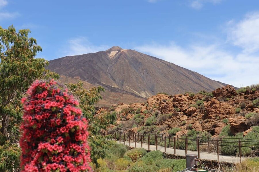 Teide National Park and Vilaflor - The Abona wine region and optional tasting