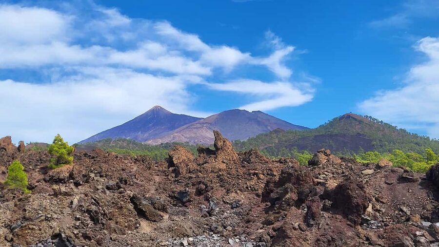 Teide National Park and Vilaflor - What the $70 price really buys you