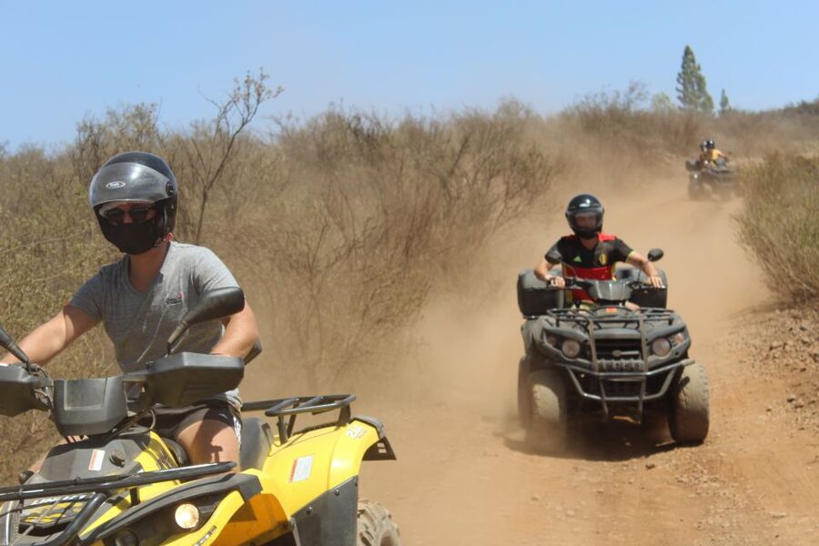 Teide National Park Day or Sunset Tour on Quads - Vilaflor and the Pino Gordo stop