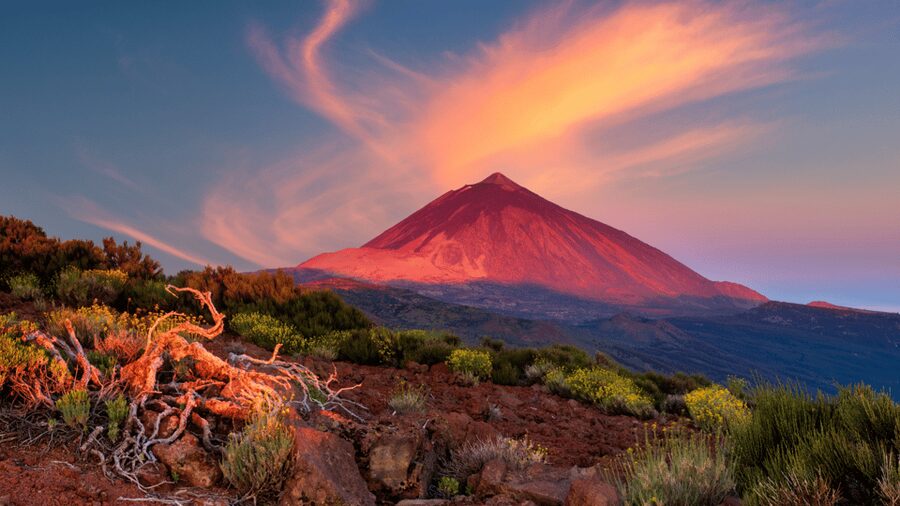 Teide National Park: Landscapes and Viewpoints Private Tour - Key points before you book