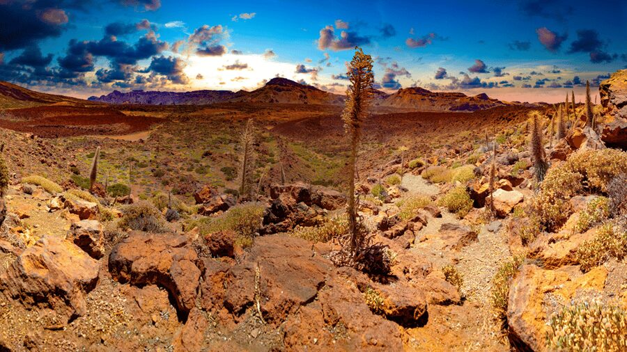 Teide National Park: Landscapes and Viewpoints Private Tour - Why Teide deserves a full half-day