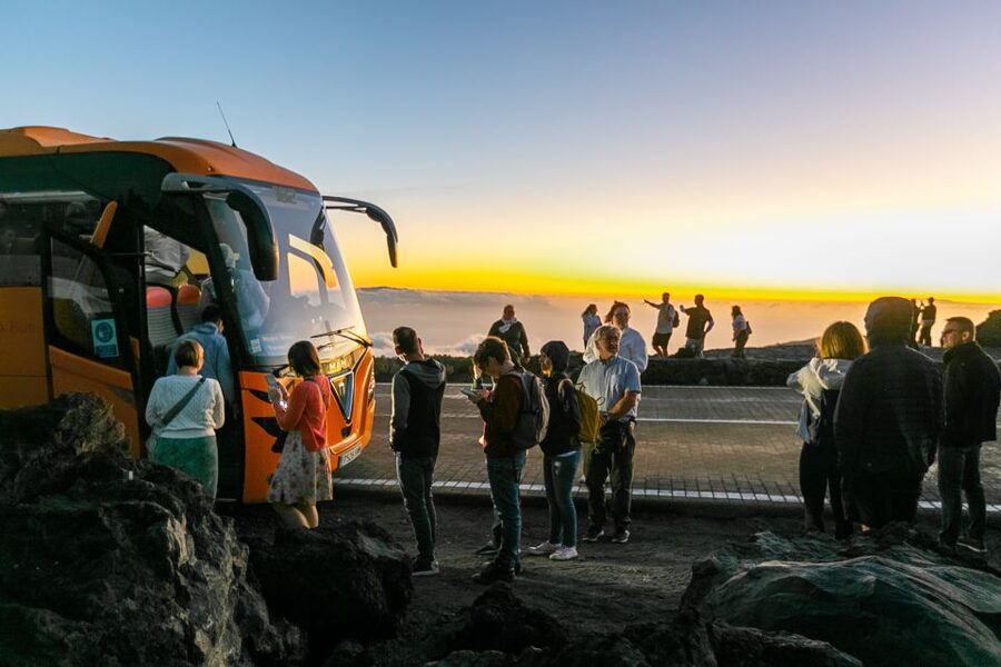 Teide National Park: Sunset & Stargazing Safari with Dinner - The night-sky session and four telescopes
