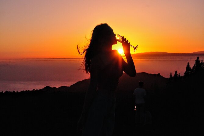 Teide National Park Sunset & Stargazing with Dinner (Star Safari) - The essential points at a glance