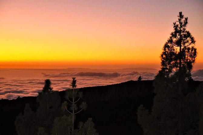 Teide National Park Sunset & Stargazing with Dinner (Star Safari) - Stargazing with four telescopes and laser-guided constellations