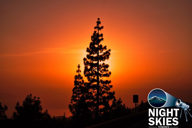 Teide National Park Sunset & Stargazing with Dinner (Star Safari) - South Tenerife pickup and the climb into the park