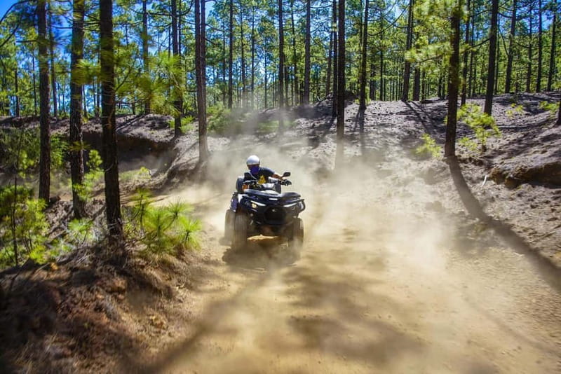 Teide Quad Tour - Tenerife - Four things to know before booking