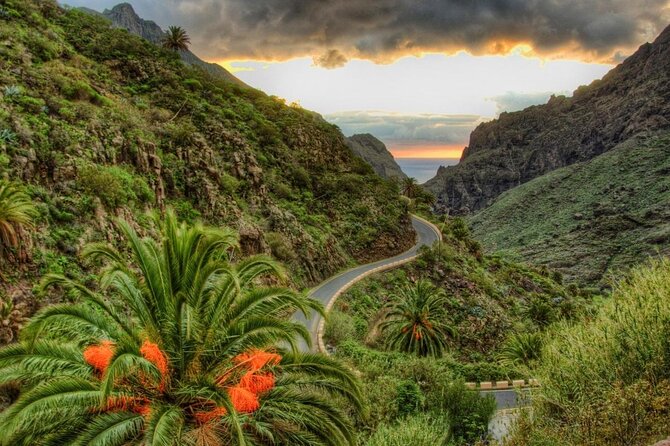 Tenerife Grand Tour: including Teide National Park and Masca - The essential facts at a glance