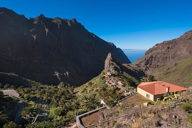 Tenerife Grand Tour: including Teide National Park and Masca - Garachico, lava pools and a shortened visit