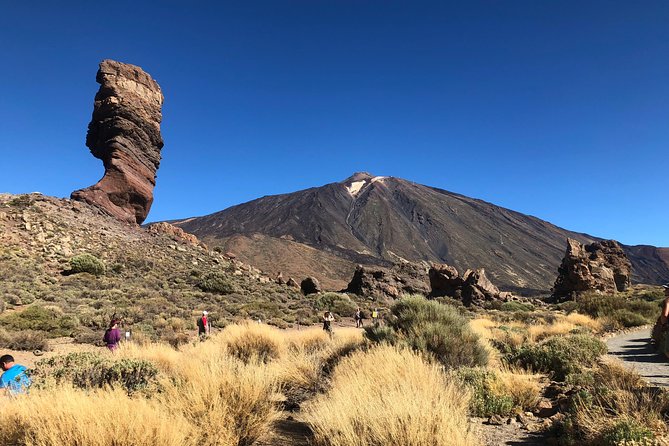 Tenerife Grand Tour: including Teide National Park and Masca - Who should book this tour?