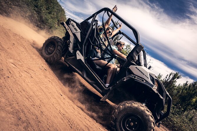 Tenerife: Guided Buggy Discovery Tour around Mount Teide - Key points before you book