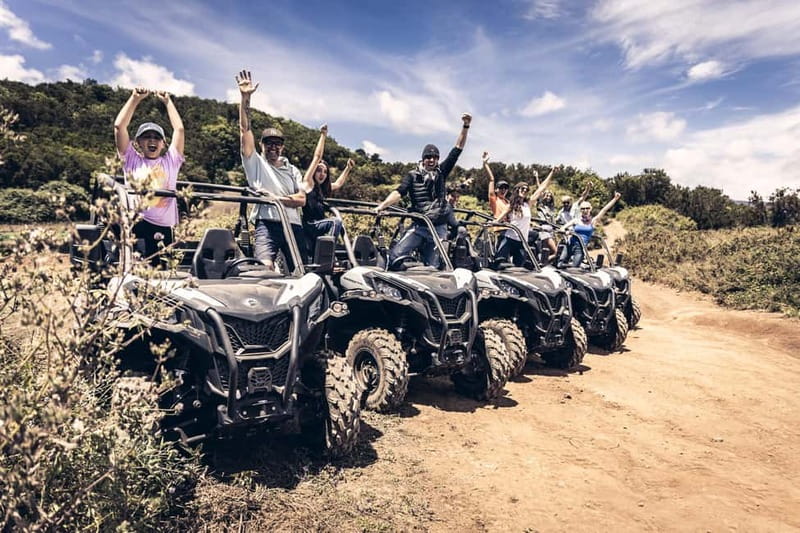 Tenerife: Guided Buggy Discovery Tour around Mount Teide - Is $225 good value?