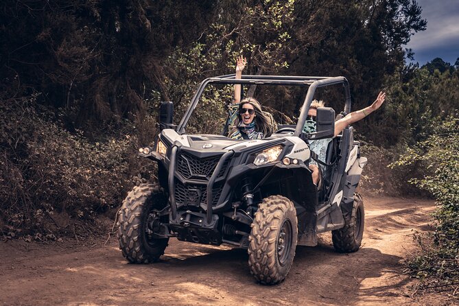 Tenerife: Guided Buggy Discovery Tour around Mount Teide - A 20-minute stop at the camel center