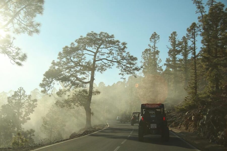 Tenerife: Morning or Sunset Teide Buggy Tour - Is $212 good value?
