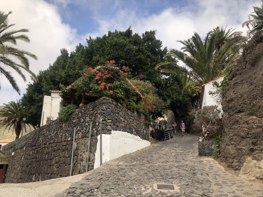 Tenerife: Mount Teide, Masca, Icod and Garachico Day Trip - Icod de los Vinos and the famous Dragon Tree