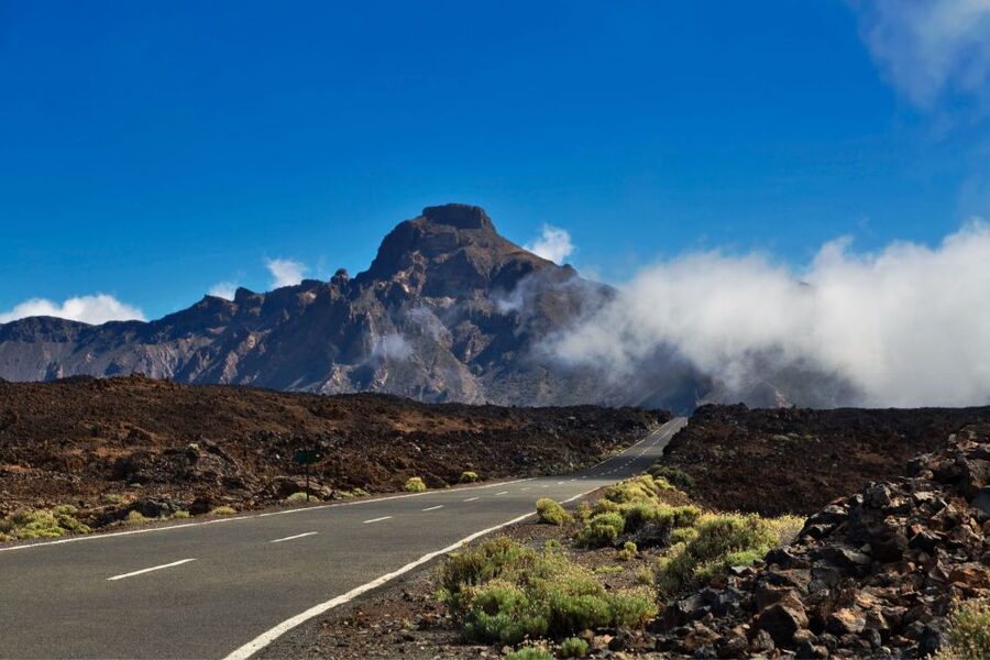 Tenerife: Mount Teide Quad Tour in Tenerife National Park - A short stop in Teide National Park