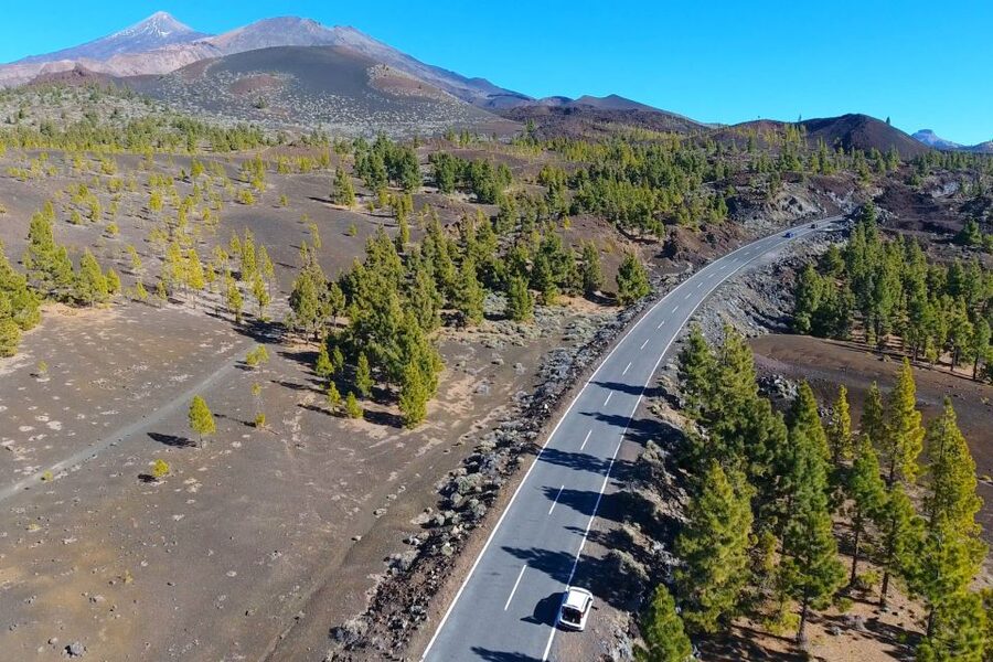 Tenerife: Mount Teide Quad Tour in Tenerife National Park - Who will enjoy this most
