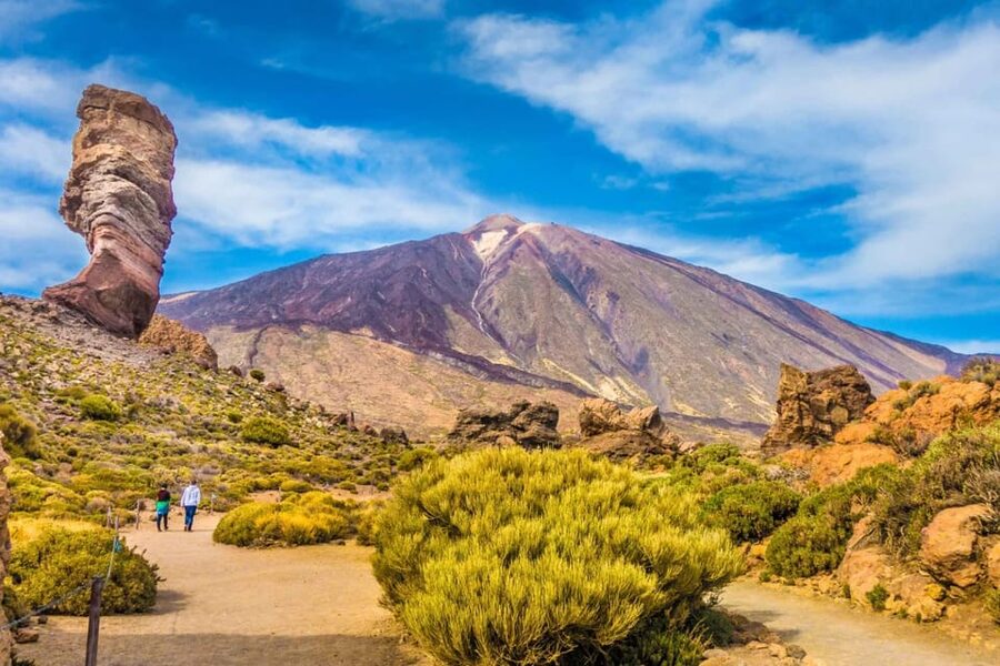 Tenerife: Mt. Teide and Masca Valley Tour - Icod de los Vinos and the famous Dragon Tree