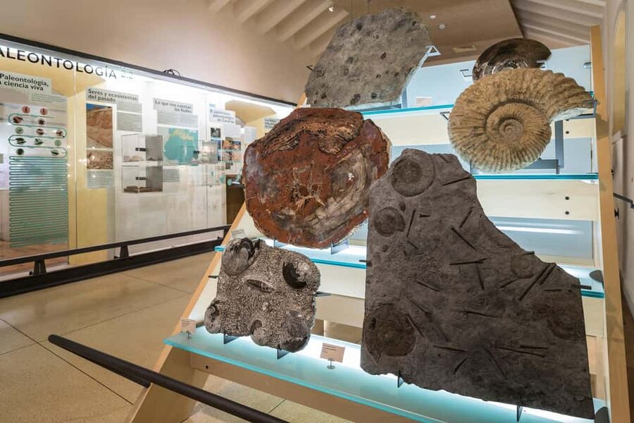Tenerife: MUNA Museum Admission Ticket and Teide Legend Tour - Audio guide languages and phone preparation