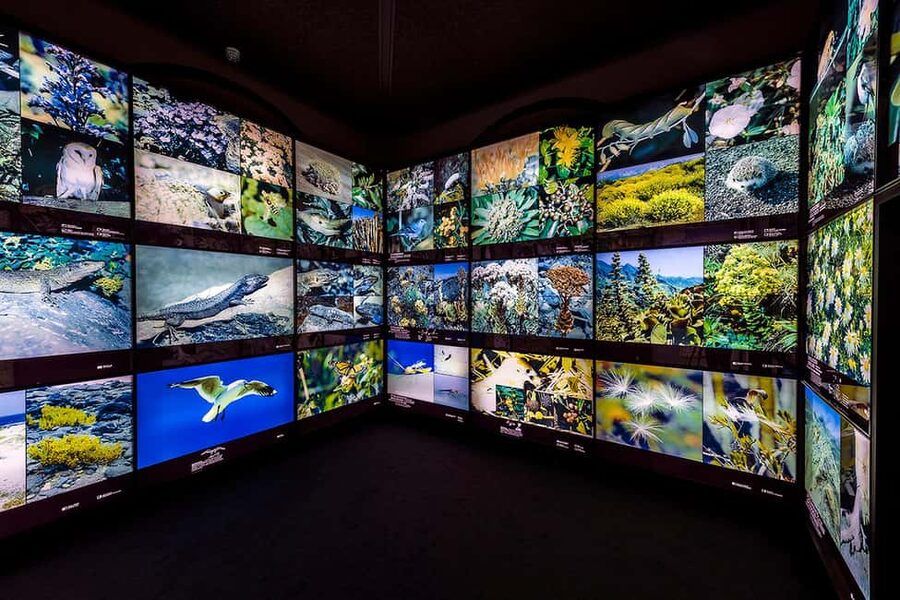 Tenerife: MUNA Museum Admission Ticket and Teide Legend Tour - Who will enjoy this experience most