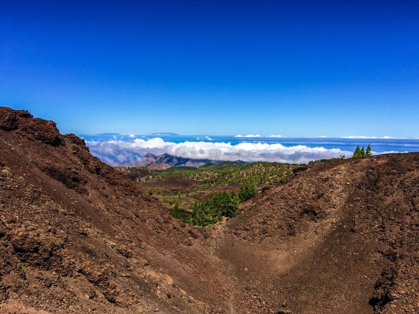 Tenerife Private Tour: Full-Day Volcanic South - What this day tells you about Tenerife