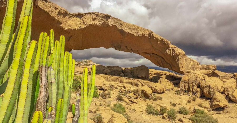 Tenerife Private Tour: Full-Day Volcanic South - Arico Nuevo and the island’s volcanic past
