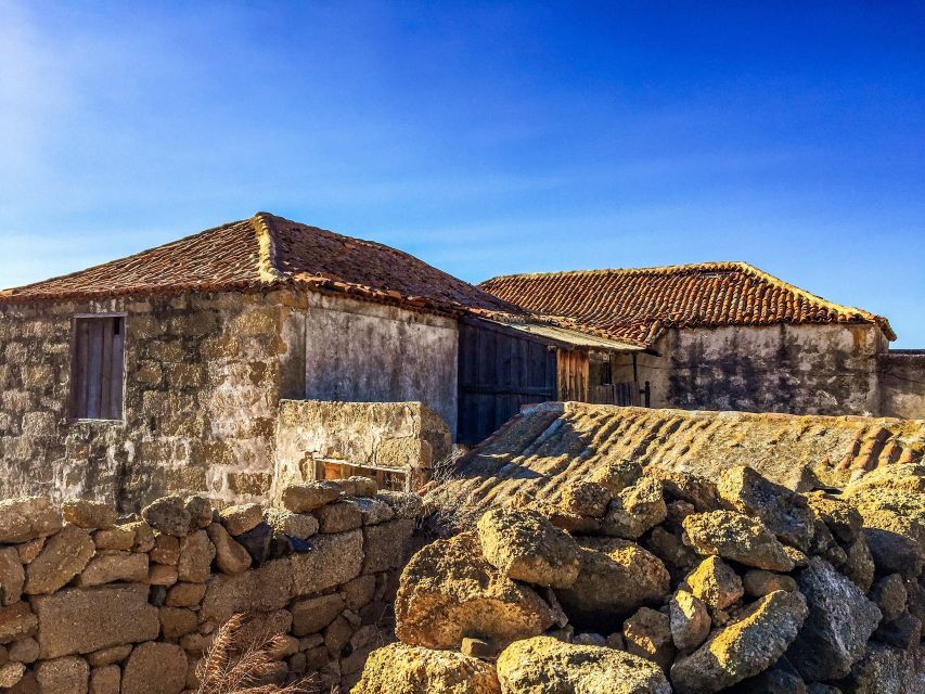 Tenerife Private Tour: Full-Day Volcanic South - San Miguel de Abona and a wide volcanic view