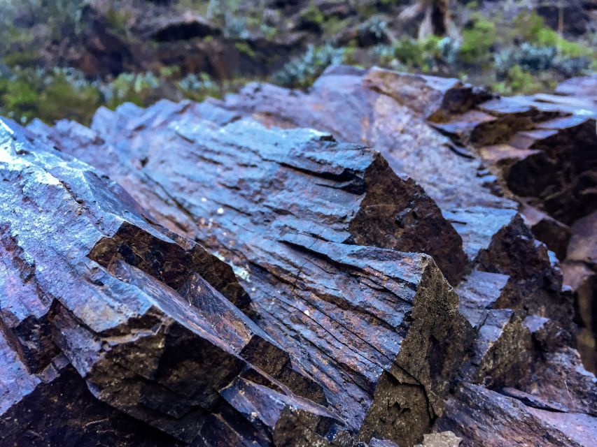 Tenerife Private Tour: Full-Day Volcanic South - Viewpoints and the climb toward Vilaflor