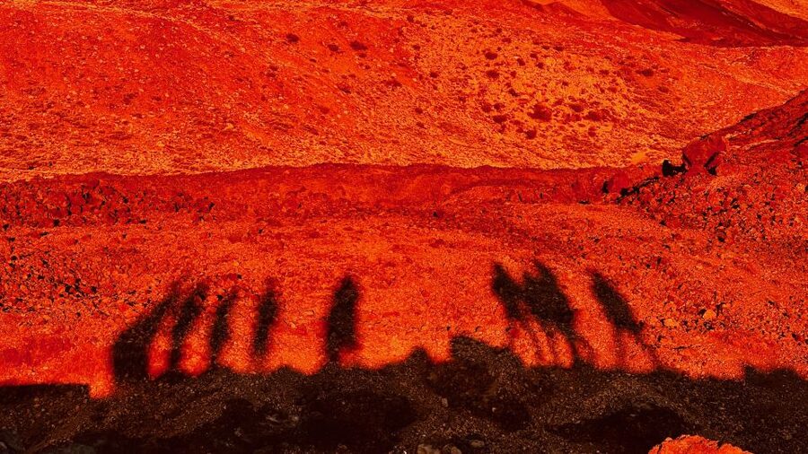 Tenerife: Private VIP Tour Teide National Park - Teide National Park at 2,400 meters