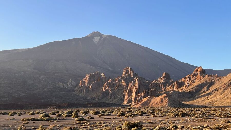 Tenerife: Private VIP Tour Teide National Park - Endemic plants and a volcanic setting used in films