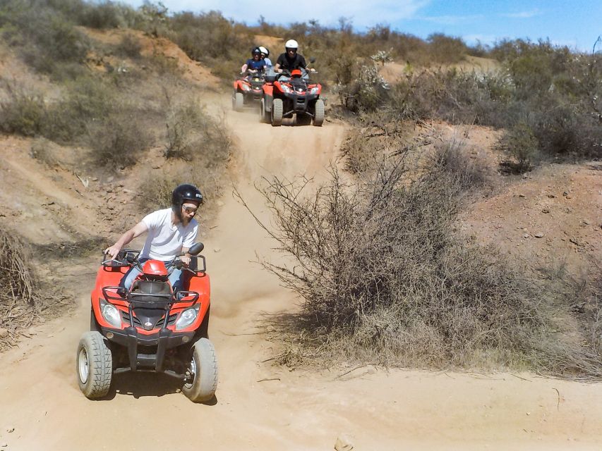 Tenerife: Quad Adventure Tour in Teide National Park - The guides make the four hours work