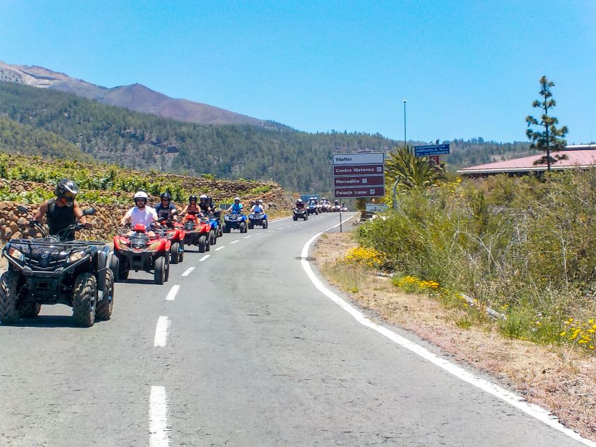 Tenerife: Quad Adventure Tour in Teide National Park - Who will enjoy this ride most?