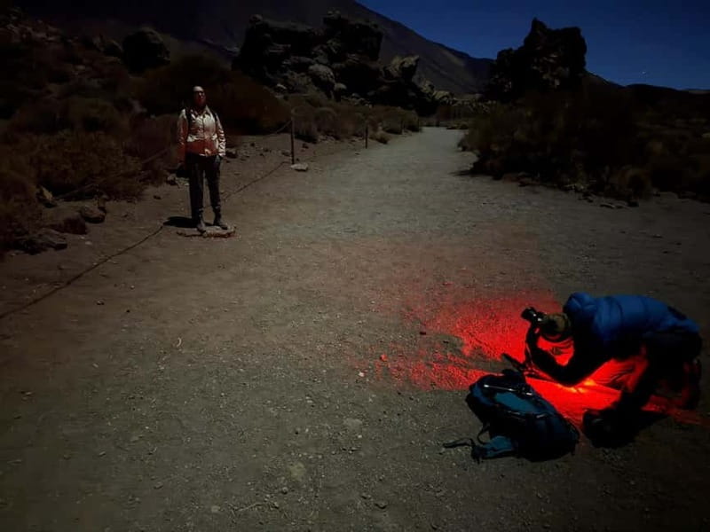 Tenerife: Stargazing Walk in Teide National Park - Roques de García after sunset
