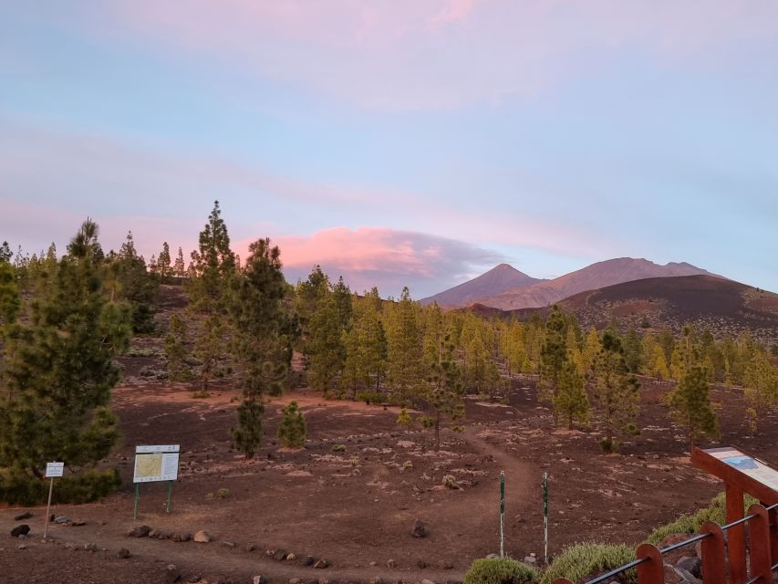 Tenerife: Sunset and Stargazing at Teide National Park - Cold, comfort, and the practical drawbacks