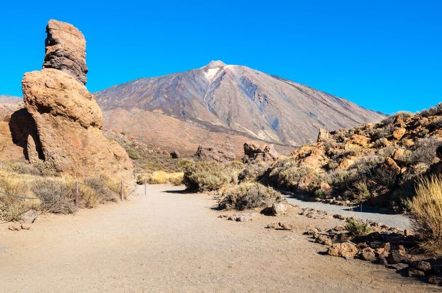 Tenerife: Teide and Las Cañadas Half-Day Tour - Through the pine forests of Teide National Park