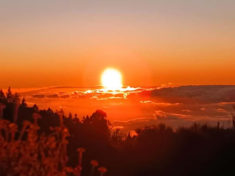 Tenerife: Teide, Masca, Garachico, and Sunset Exclusive Tour - Who should book this experience?