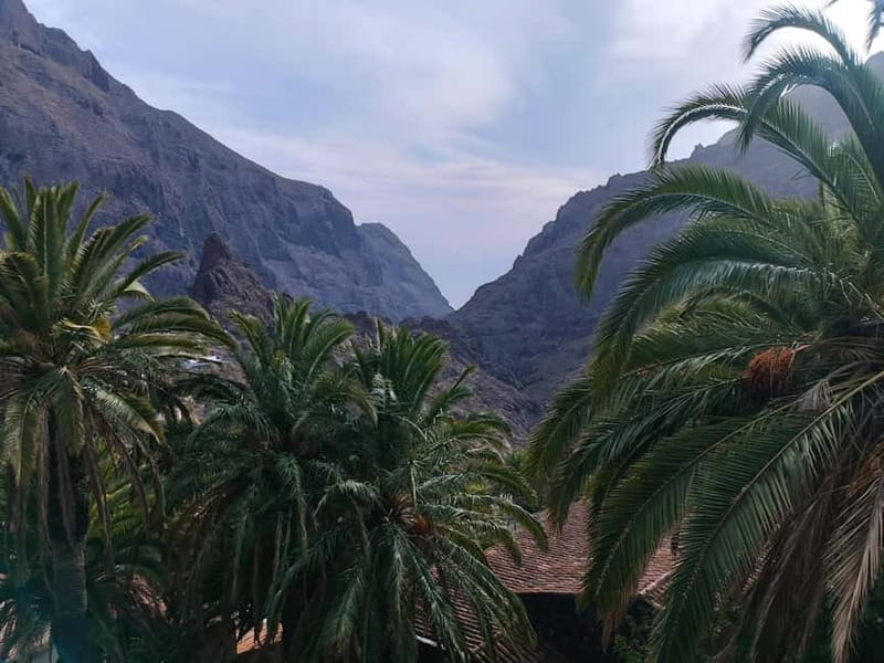 Tenerife: Teide, Masca, Garachico, and Sunset Exclusive Tour - Masca, Buena Vista, and the island’s changing climate