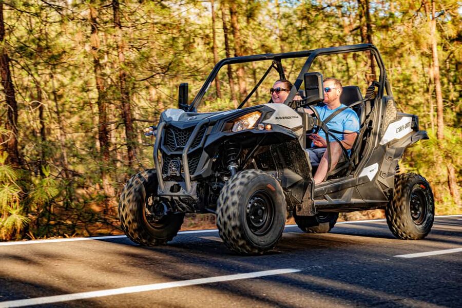 Tenerife: Teide Mountain Buggy On-Road GuidedTour with drink - From Chío’s pine forests toward Teide