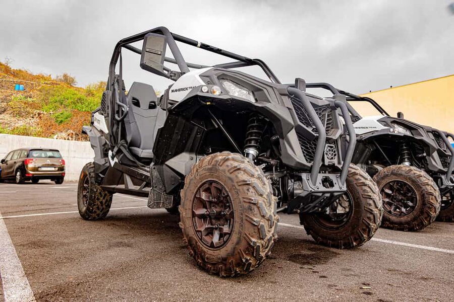 Tenerife: Teide Mountain Buggy On-Road GuidedTour with drink - What the $34 price really covers