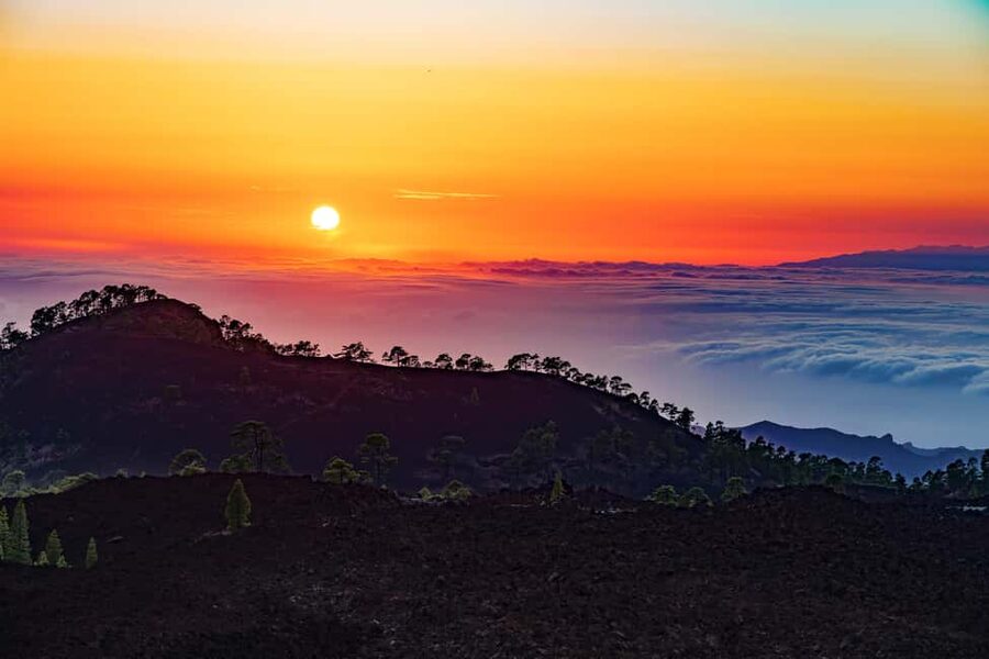 Tenerife: Teide Mountain On-Road Guided Quad Tour with drink - Who will enjoy this quad tour?