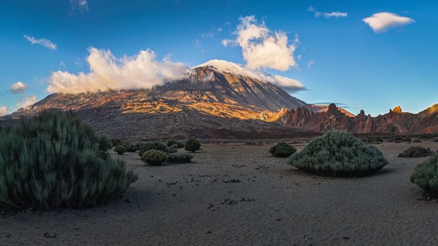 Tenerife: Teide National Park and Dolphins Sailboat Tour - Why this combination works so well