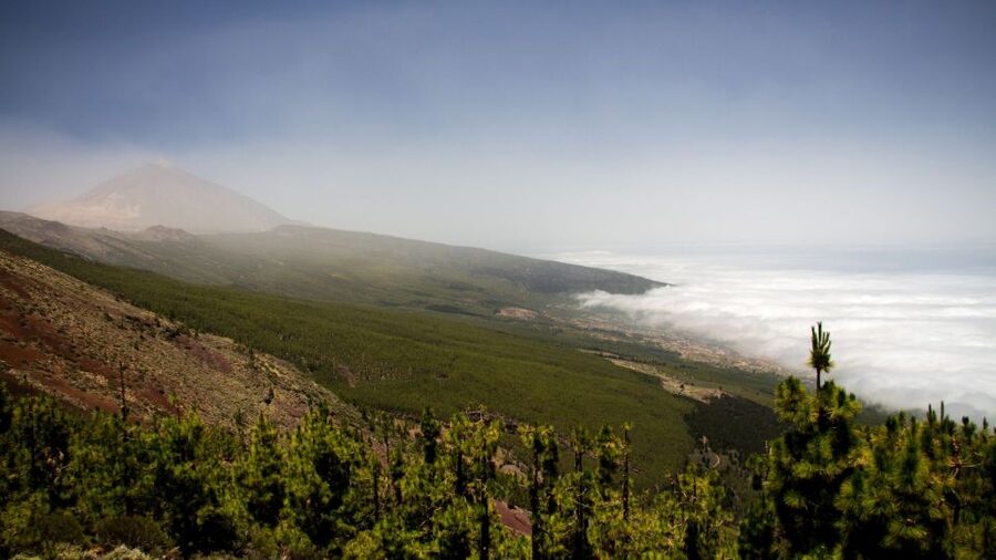 Tenerife: Teide National Park and Dolphins Sailboat Tour - From volcanic high country to Tenerife’s south coast