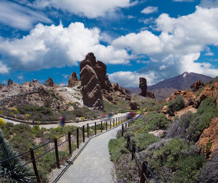 Tenerife: Teide National Park and Dolphins Sailboat Tour - Snacks, drinks, and the real value of $218