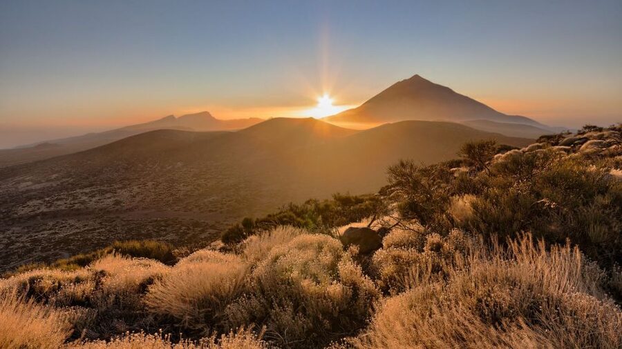 Tenerife: Teide National Park and Dolphins Sailboat Tour - The morning climb to Teide National Park