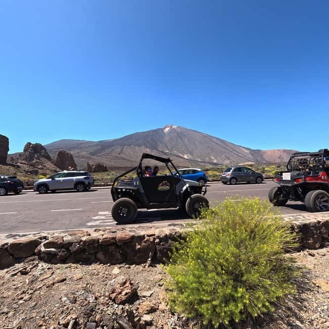 Tenerife: Teide National Park and Volcano Buggy Tour - Small group size and the guide’s role