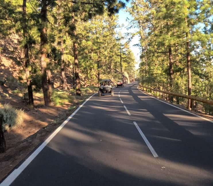Tenerife: Teide National Park and Volcano Buggy Tour - What to wear and bring