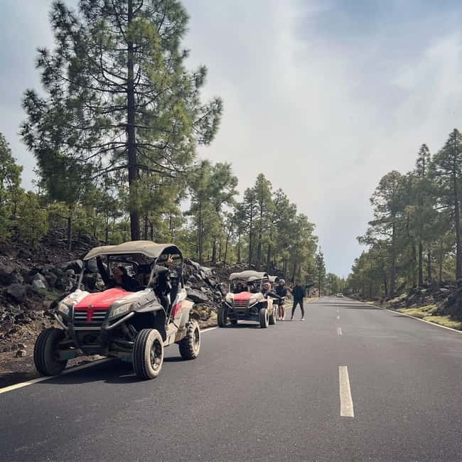 Tenerife: Teide National Park and Volcano Buggy Tour - What driving the buggy is really like