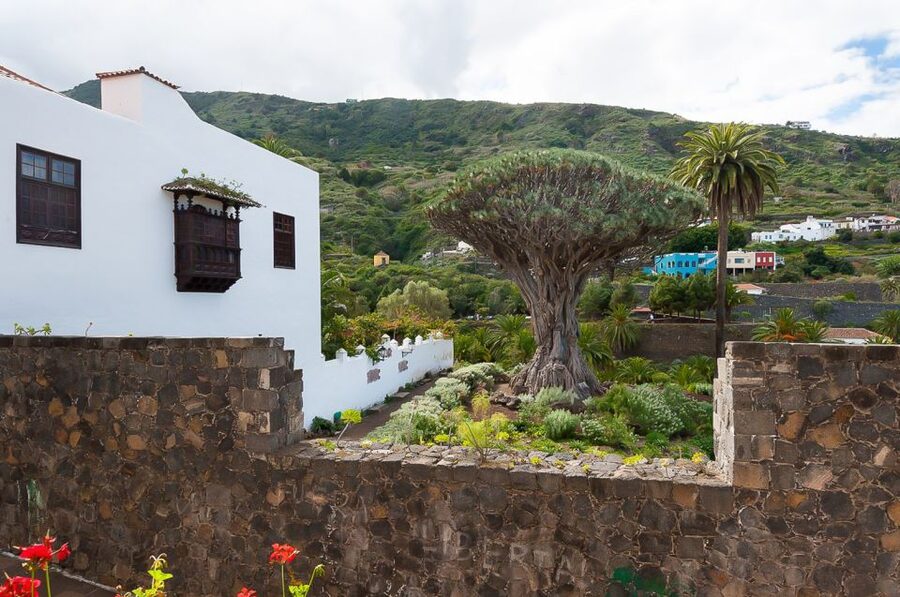 Tenerife: Teide National Park Full-Day Tour with Pickup - The climb from the south to Mount Teide